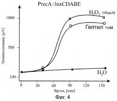 Набор lux-биосенсоров для определения гептила в среде (патент 2297450)