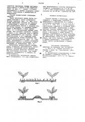 Способ борьбы с сорняками (патент 814306)