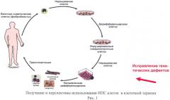 Способ получения индуцированных плюрипотентных стволовых клеток из фибробластов пациентов с болезнью хангингтона (патент 2458983)