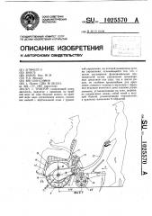 Трактор (патент 1025570)