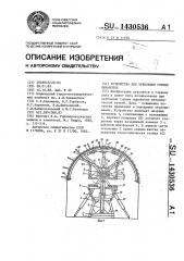 Устройство для крепления горных выработок (патент 1430536)