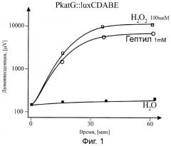 Набор lux-биосенсоров для определения гептила в среде (патент 2297450)