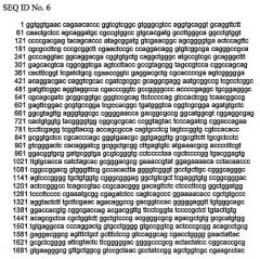 Применение липолитического фермента в пищевой промышленности (патент 2406759)