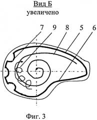Кавитатор (патент 2516638)