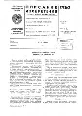 Штамм плесневого гриба aspergillus awamori 78-2 (патент 171363)