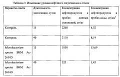 Штамм microbacterium species для очистки пресноводных водоемов и их донных отложений от нефти и нефтепродуктов (патент 2555541)