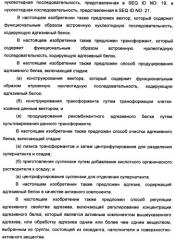 Биоадгезив мидии (патент 2349599)