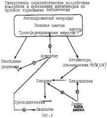 Синергичные композиции, содержащие аскорбат и лизин, для лечения состояний, связанных с деструкцией внеклеточного матрикса (патент 2268038)