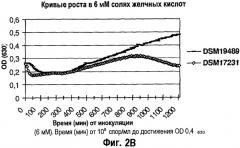 Штамм бактерий bacillus subtilis с высоким уровнем продуцирования фитазы (варианты), композиция для кормления животных и способ кормления животных (патент 2506307)