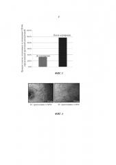 Способ дифференциации плюрипотентных стволовых клеток в клетки сосудистого русла (патент 2618871)