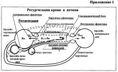 Способ и устройство для оценки гемодинамики печени (патент 2372022)