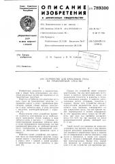 Устройство для крепления груза на транспортном средстве (патент 789300)