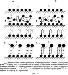 Способ иммуноферментного определения антигенов (патент 2303783)