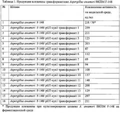 Применение штамма мицелиального гриба aspergillus awamori в качестве реципиента для конструирования продуцентов целевых ферментов (патент 2621279)