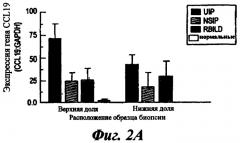 Материалы и способы лечения хронических фиброзных заболеваний (патент 2446825)