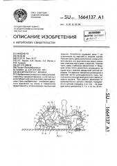 Минитрактор и.г.мухина (патент 1664137)