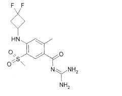 Фторированные циклоалкилзамещенные бензоилгуанидины, способ их получения, их применение в качестве лекарственного средства, а также содержащее их лекарственное средство (патент 2305093)