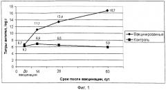 Вакцина ассоциированная против ньюкаслской болезни птиц, инфекционного бронхита кур, синдрома снижения яйценоскости-76, инфекционной бурсальной болезни и реовирусного теносиновита птиц инактивированная эмульсионная (патент 2443429)