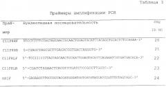 Человеческие антитела к рецептору эпидермального фактора роста (патент 2402569)