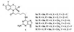Амиды n-(2-аминопурин-6-ил)-6-аминокапроновой кислоты, обладающие противоопухолевой активностью, и способ их получения (патент 2599577)