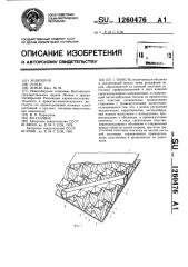 Панель (патент 1260476)