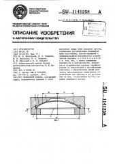 Полосовой клапан (патент 1141258)