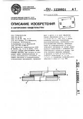 Способ двустороннего полирования пластин (патент 1238951)