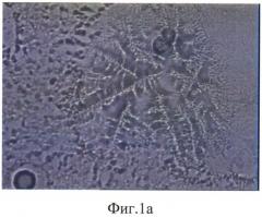 Способ получения микрокапсул лозартана калия в альгинате натрия (патент 2558855)
