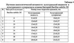 Бесклеточная культуральная жидкость на основе штамма bacillus subtilis, консервант для силоса и полифункциональное средство для растений с фунгицидными, бактерицидными и ростстимулирующими свойствами (патент 2665547)