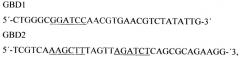 Рекомбинантная плазмида pd1spgbd, штамм escherichia coli - продуцент рекомбинантного белка d1-gbd, рекомбинантный белок d1-gbd и способ его получения, способ исследования связывания белка d1-gbd с антителами сывороток больных, способ получения специфических антител к белку d1-gbd (патент 2401302)