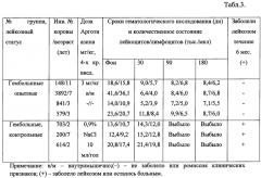 Способ профилактики и лечения лейкоза крупного рогатого скота (патент 2623063)