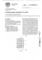 Трехслойная стеновая панель (патент 1719583)
