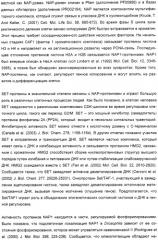 Способ повышения выхода семян растения, способ производства трансгенного растения, имеющего повышенную урожайность семян, генная конструкция для экспрессии в растении и трансгенное растение (патент 2409938)