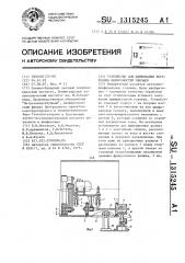 Устройство для шлифования внутренних поверхностей обечаек (патент 1315245)