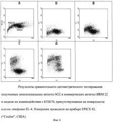 Штамм гибридных культивируемых клеток животных mus musculus 6g2 - продуцент моноклональных антител, специфичных к белку теплового шока 70 (патент 2380413)