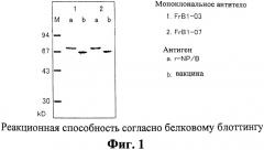 Устройство для иммунного анализа с использованием антитела к вирусу гриппа типа b (патент 2366663)