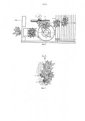 Ботвоудаляющее устройство к свеклоуборочным машинам (патент 728759)