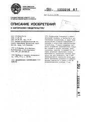 Динамическое запоминающее устройство (патент 1233216)