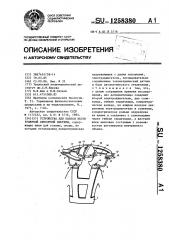 Устройство для оценки вестибулярной сенсорной системы (патент 1258380)