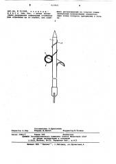 Приспособление для вырезания тстолбиков из сердцевины клубней (патент 615915)