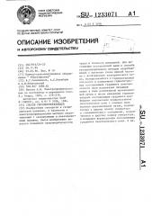 Способ геоэлектроразведки (патент 1233071)