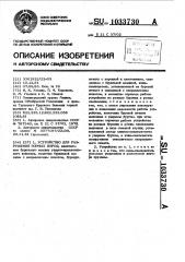 Устройство для разрушения горных пород (патент 1033730)