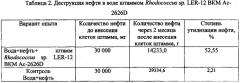 Штамм бактерий rhodococcus sp. - деструктор нефти и нефтепродуктов (патент 2558299)