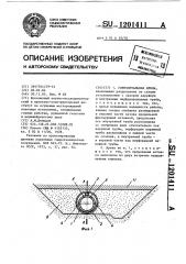 Горизонтальная дрена (патент 1201411)