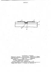Полевой трансистор (патент 1005224)