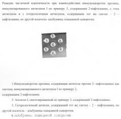 Синтетический антиген на основе сополимеров n-винилпирролидона, кротоновой кислоты и n-кротоноиламинофенола, содержащий ковалентно присоединенный 2-нафтиламин в качестве гаптена (патент 2262515)