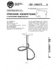 Инструмент для обработки костных полостей (патент 1066578)