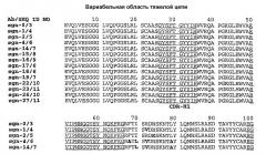 Гуманизированные анти-cd40-антитела и способы их применения (патент 2407544)