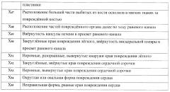 Способ определения характера повреждения при огнестрельной травме (патент 2604385)