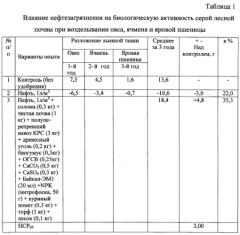 Способ ускоренного восстановления плодородия земель сельскохозяйственного назначения, загрязненных нефтью и нефтепродуктами (патент 2588151)